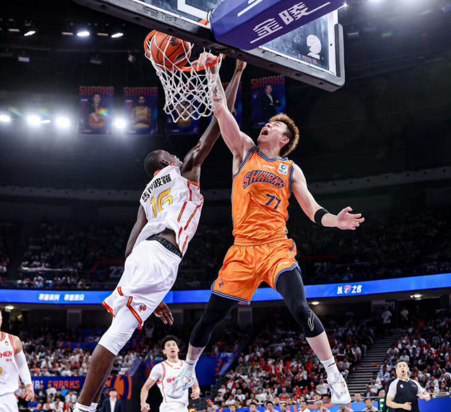 B—sports官网介绍图片