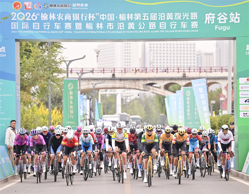 B—sports必一产品图片
