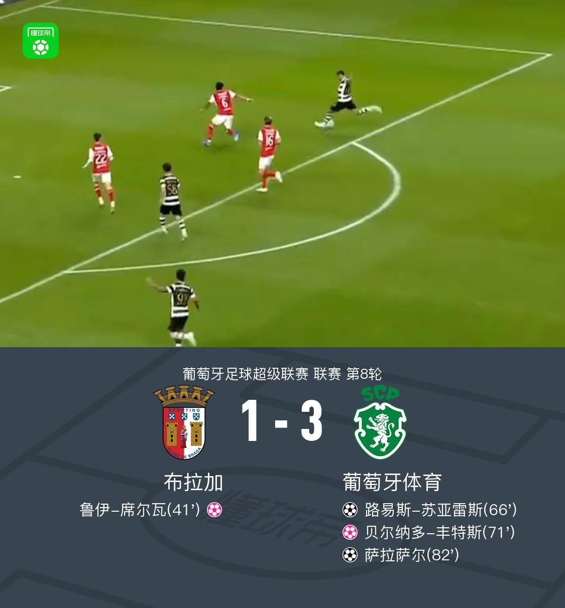 专业B—sports官网服务