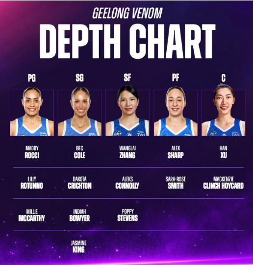了解B—sports官网
